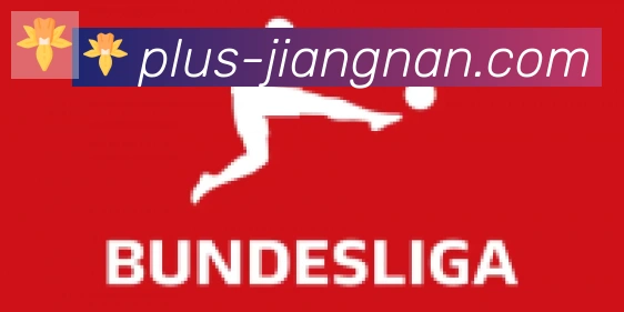 江南体育合作伙伴